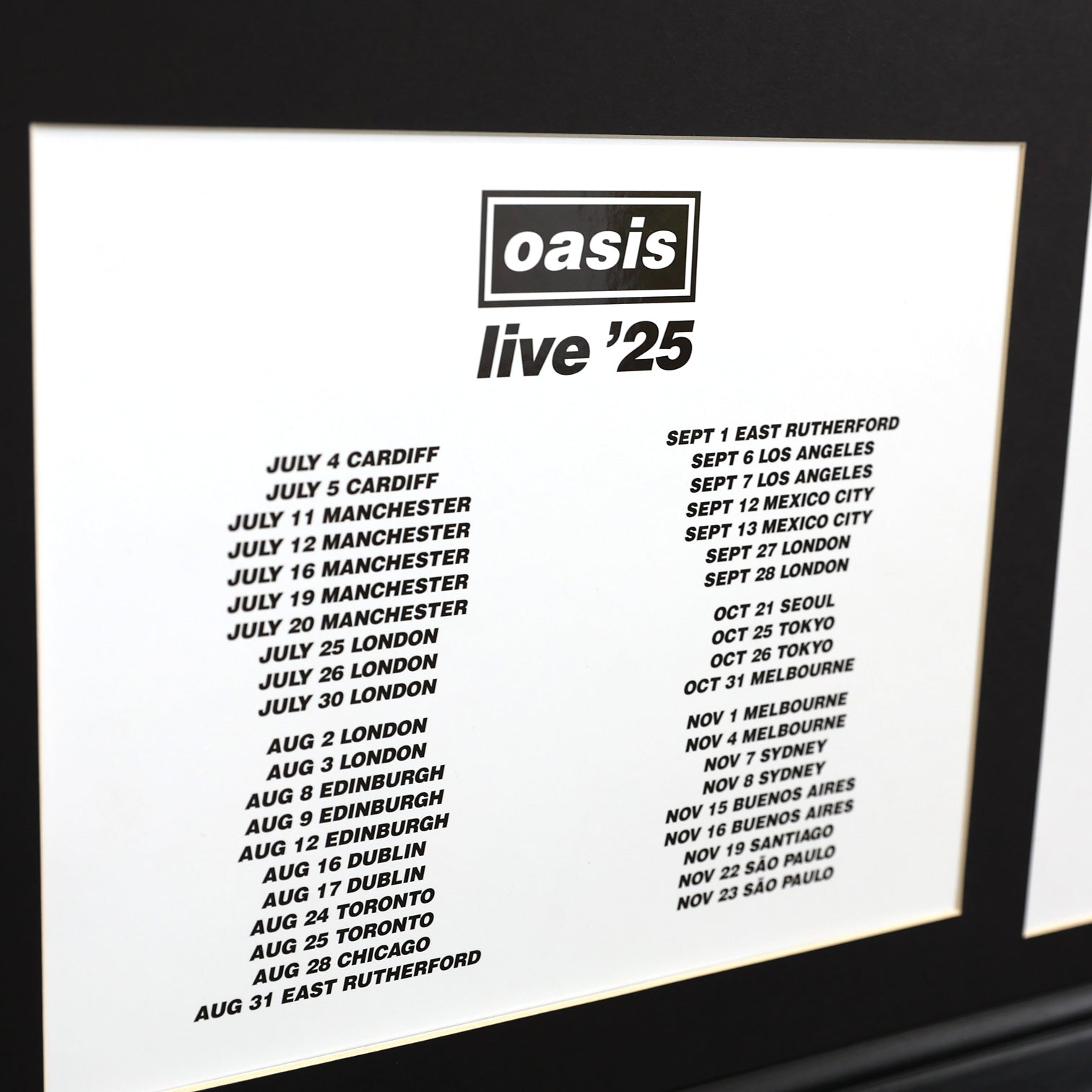 Oasis - Live Equipment - Large Framed Piece - New Item – Microdot