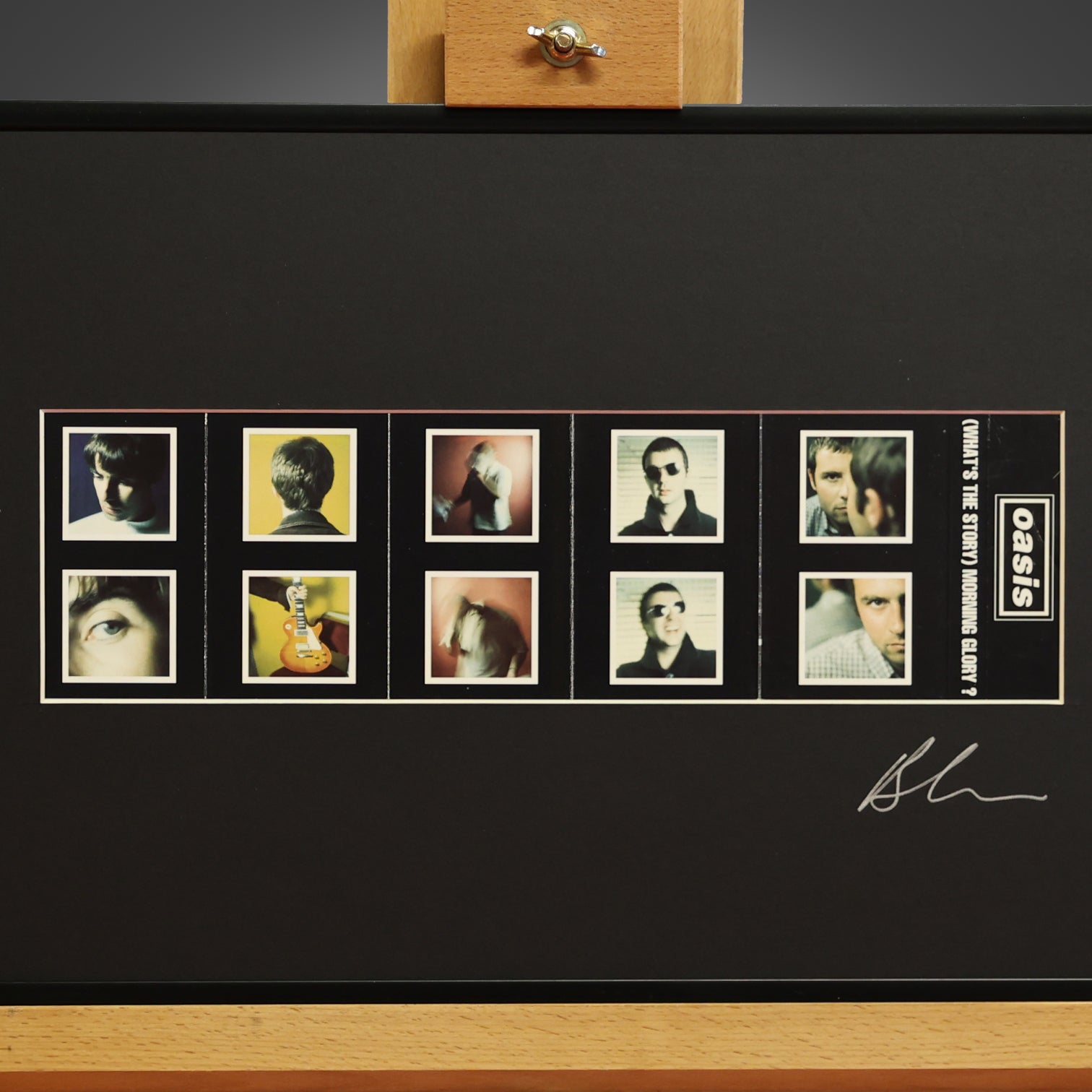 Oasis Morning Glory Framed Inlay - New Item