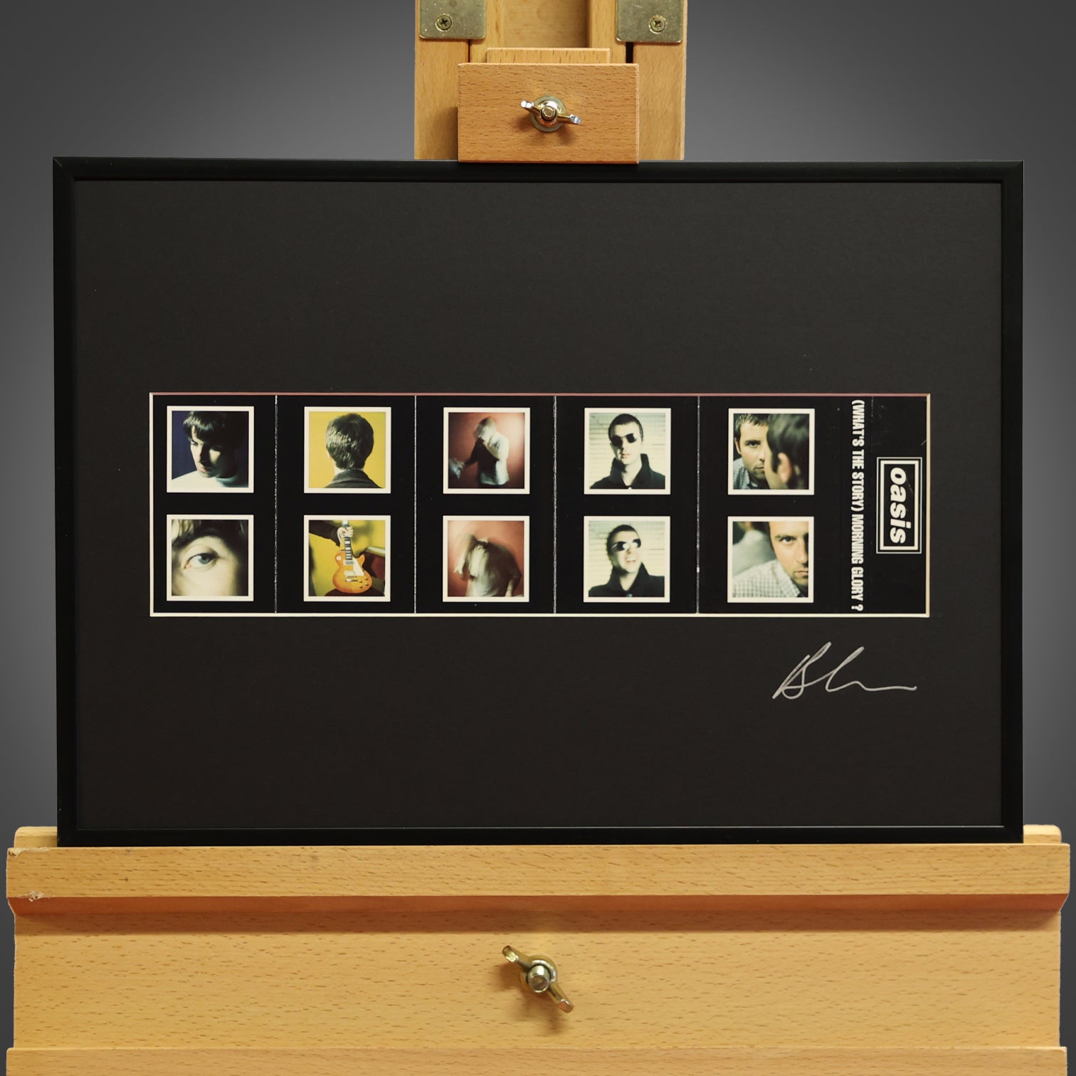 Oasis Morning Glory Framed Inlay - New Item